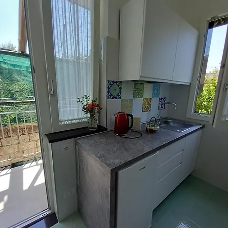 Chamaedorea Bed & Breakfast