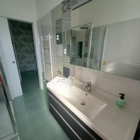 Chamaedorea 4*